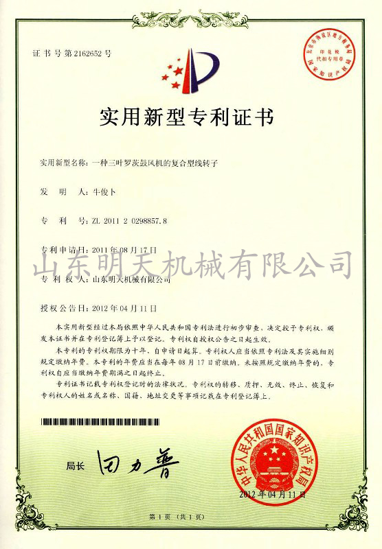 三葉羅茨鼓風(fēng)機(jī)復(fù)合型轉(zhuǎn)子